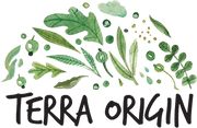 Terra Origin