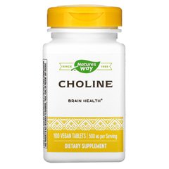 Холін Nature's Way (Choline) 500 мг 100 таблеток, NWY-40460